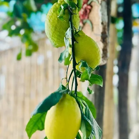 Hermosa Costiera Amalfitana