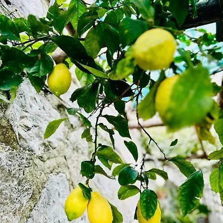 Hermosa Costiera Amalfitana *