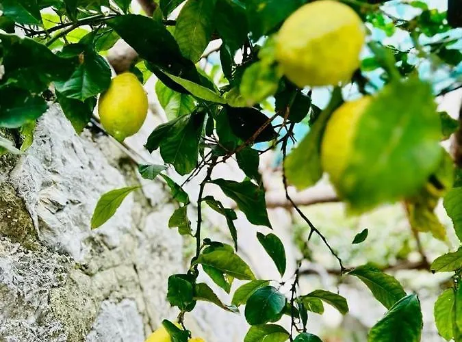 Hermosa Costiera Amalfitana *