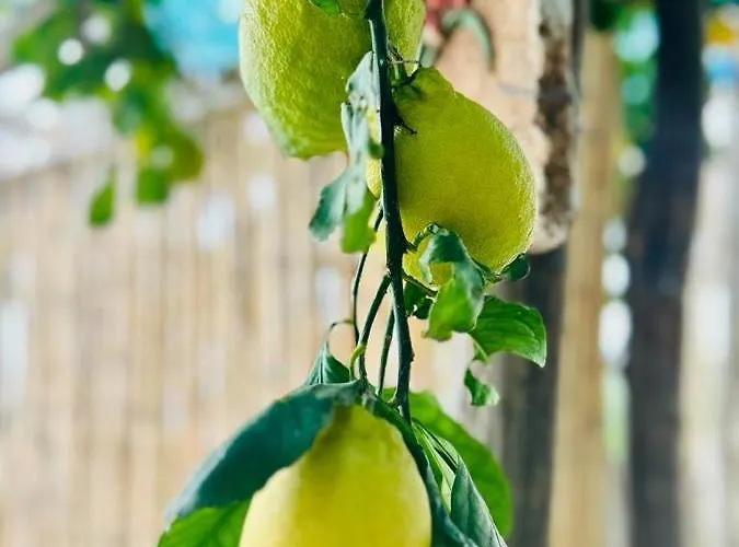 Hermosa Costiera Amalfitana